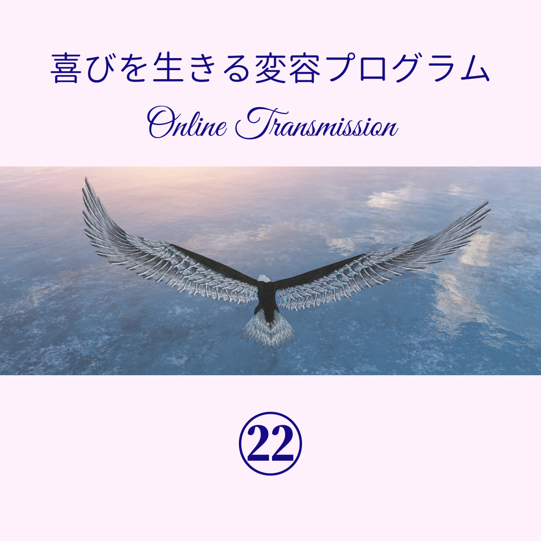 トランスミッションプログラム・全22回